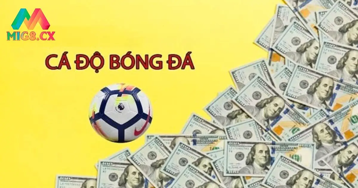 Các loại kèo phổ biến trong cá cược bóng đá MIG8