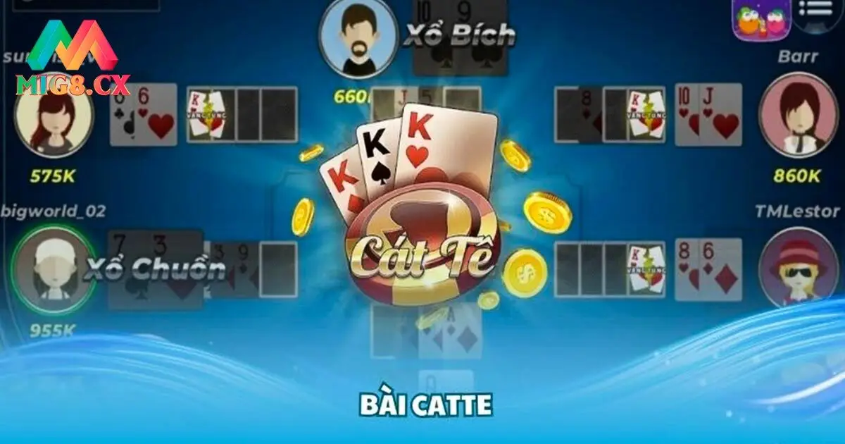 Catte là game bài như thế nào?