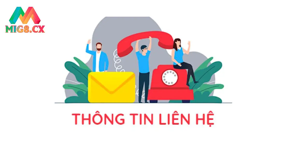 Vì sao bạn cần liên hệ với MIG8?